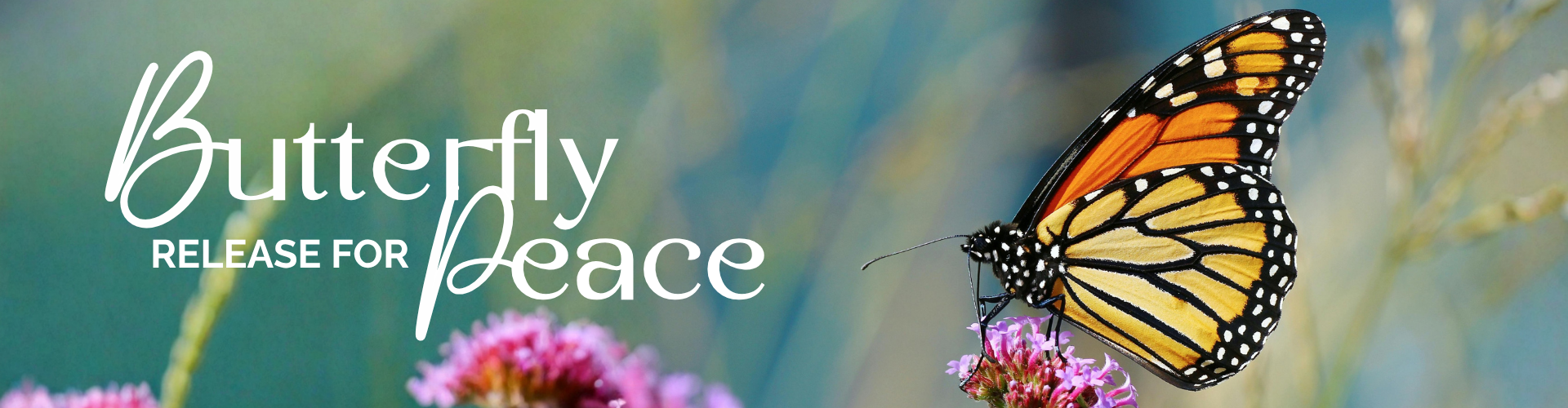Butterfly Release 2026 Header (2)